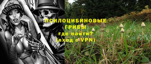 альфа пвп Медногорск