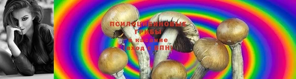 альфа пвп Медногорск