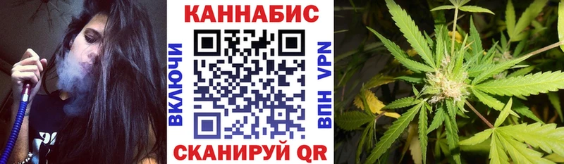Бошки марихуана планчик  купить наркотики цена  Новая Усмань 